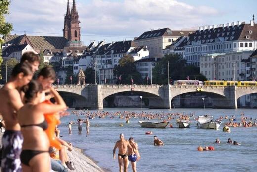 Calm With Sunny Terrace Apartment Basel